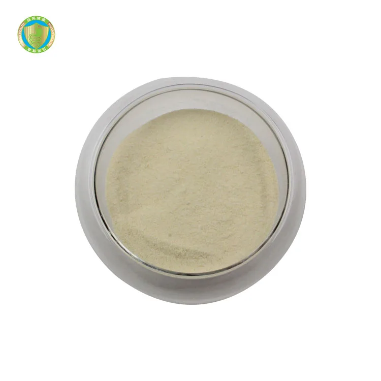 Wholesale Pure Lactobacillus Reuteri Probiotics Powder Good For The Gut