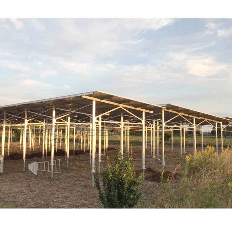 Solar Farm Pv Commercial Agriculture Solar Mount Racking System Solar Bracket Of Ground Mounting System