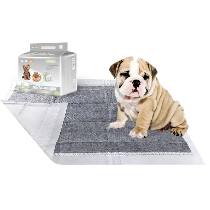 Wholesale Cheap Dog and Puppy Pet Changing Under Pad Charcoal Pee Training Manufacture