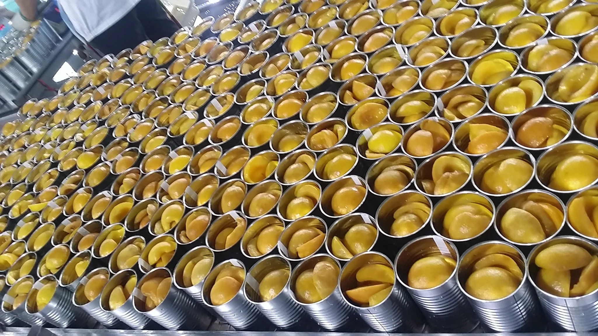 Canned yellow peaches