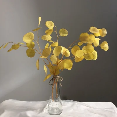 Dried Preserved Eucalyptus Stems Natural Silver Dollar Leaves Real Fresh Eucalyptus Plant Branches wreath home wedding decor