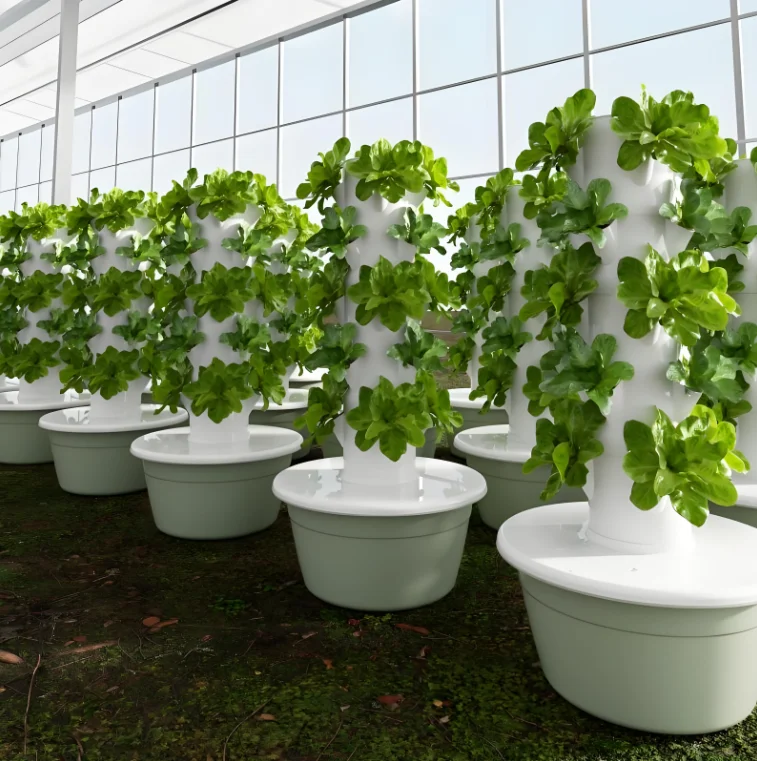 Greenhouse hydroponics system with accessories for garden/home/outdoor plant