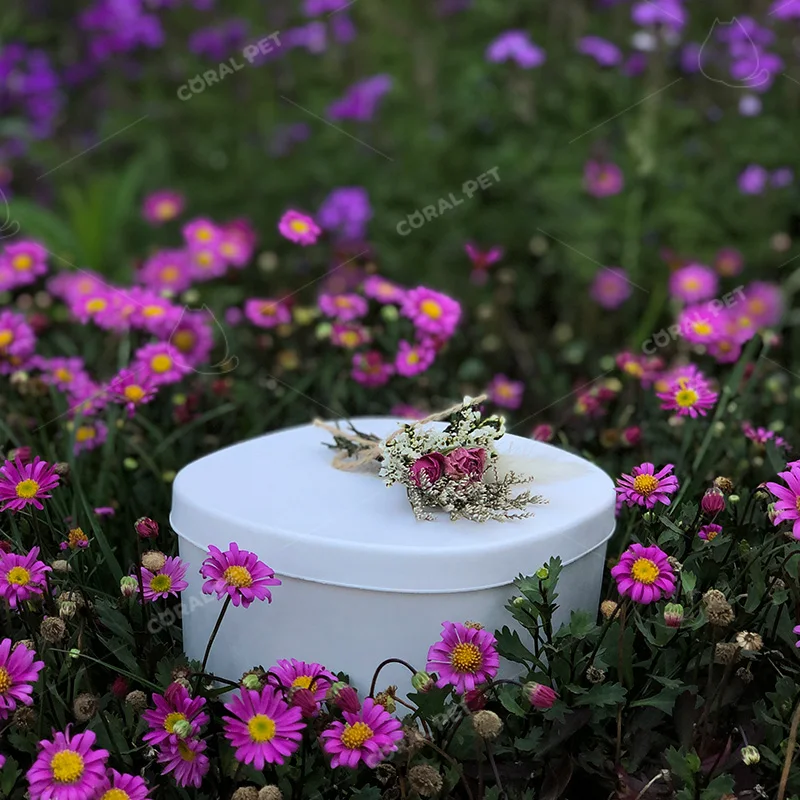 100% biodegradable pulp paper box scattering urn for animal ashes sea burial and earth burial pet cremation ashes pulp box