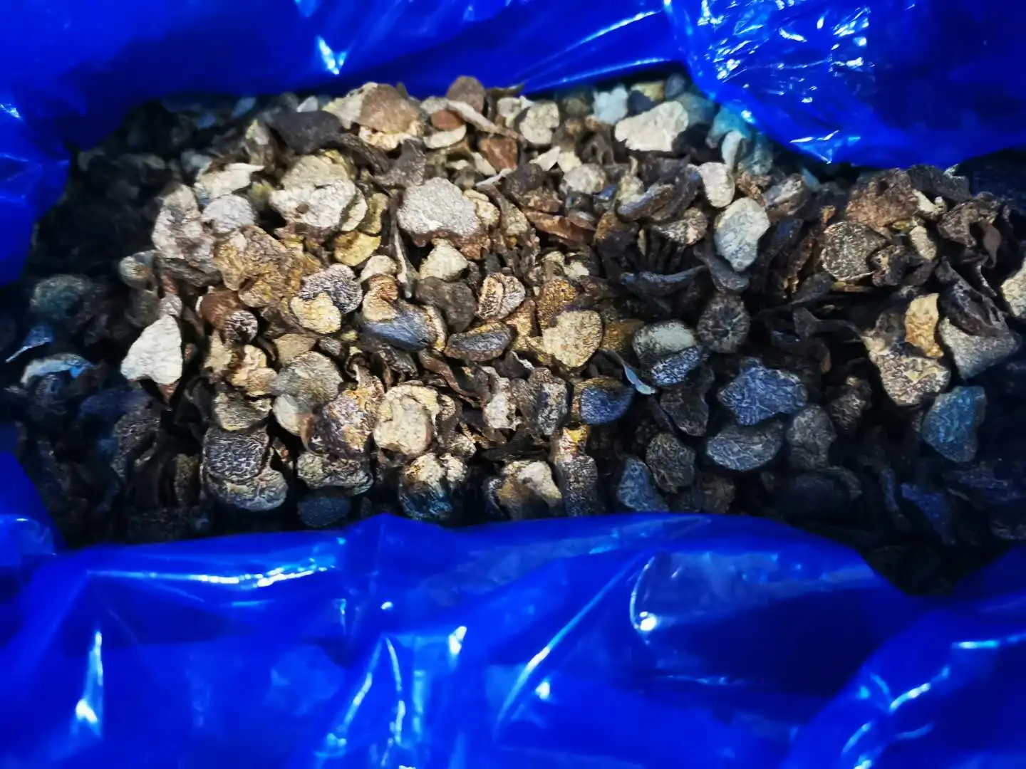 Detan Chinese Wild Dried Black Truffle Slices Price