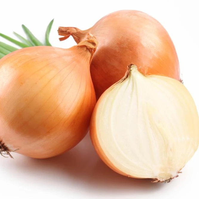 2022 new crop Best Fresh Onion with good price yellow onions and red onion fresh for export