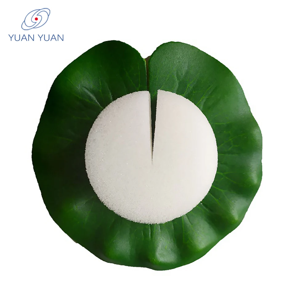 Hydroponic Sponge Growing System Agricultural Ecological Garden Flower Plant Foam