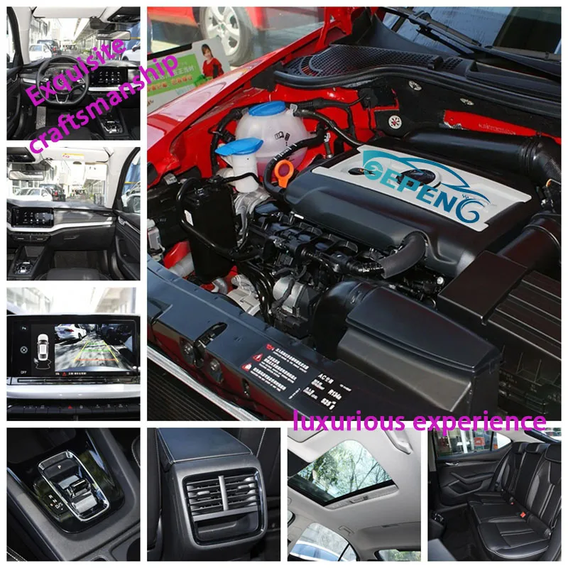 octavia PRO_4