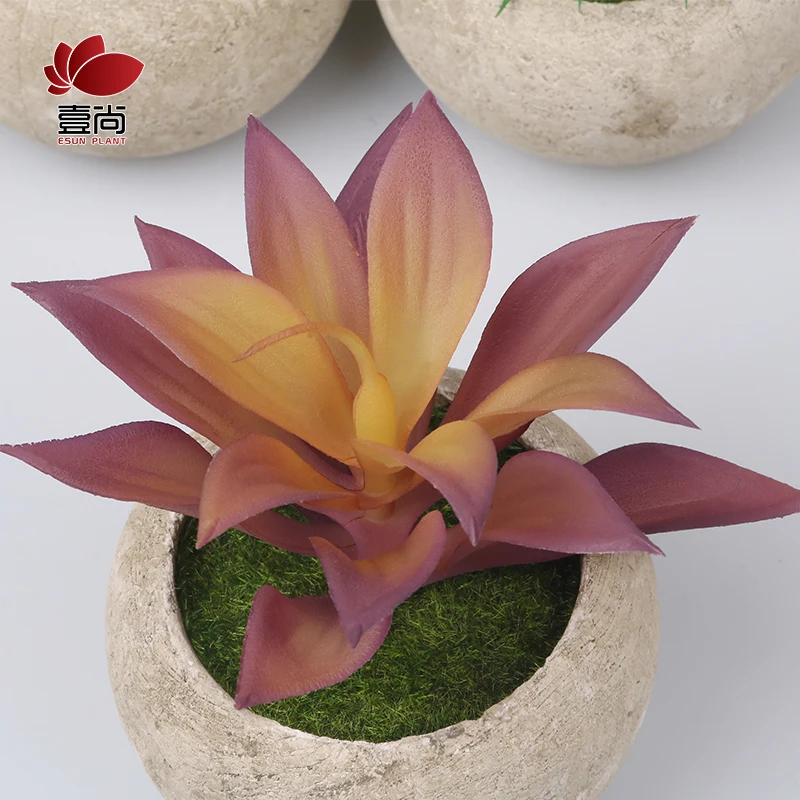 ES1338 High-quality Indoor Artificial Succulent Grass Plastic Plants With Pots Simulated Floral For Decoration