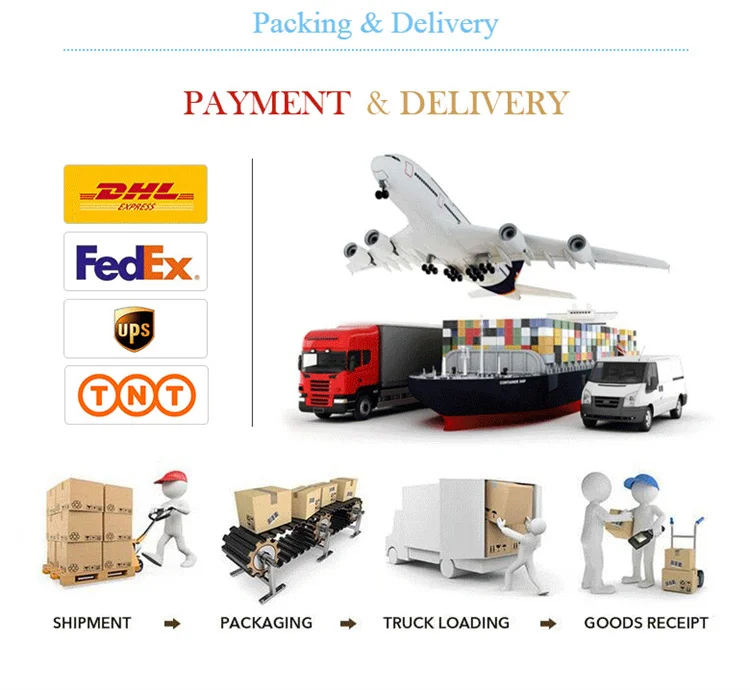 Kinshun Factory Custom Printed Logo Food Cookies Frosted Slider Wrap Dispenser Compostable Storage Freezer Plastic Ziplock Bags