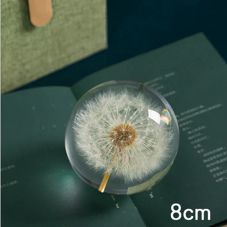 
Custom 3D 7cm 8cm 9cm Resin orb natural flower plant Real Dandelion Paperweight for Christmas Gifts Crystal Glass Home Decor 