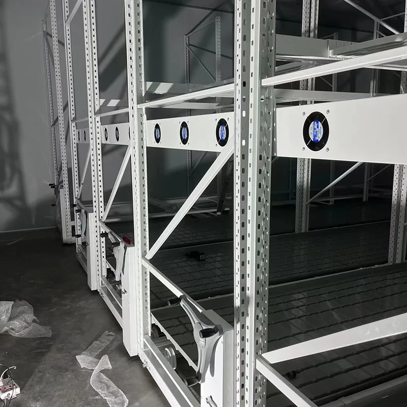 Mobile Indoor 2 Tier Vertical Grow System Rack Plant Sliding For Hydroponics