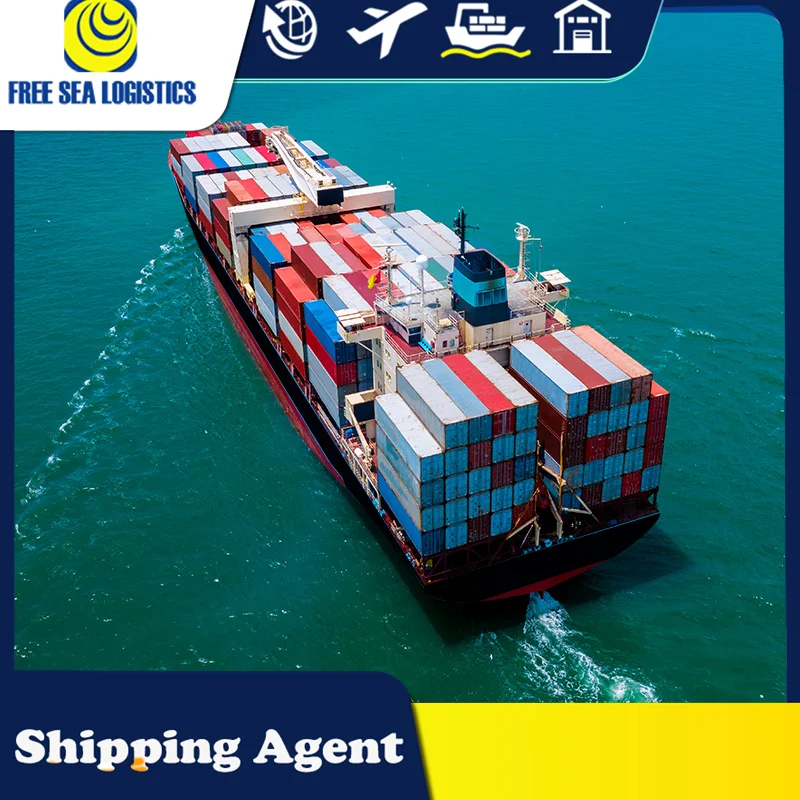 Cheapest Sea Freight China Shipping To Saudi Arabia Dubai Omen  Agent Freight LCL FCL DDP
