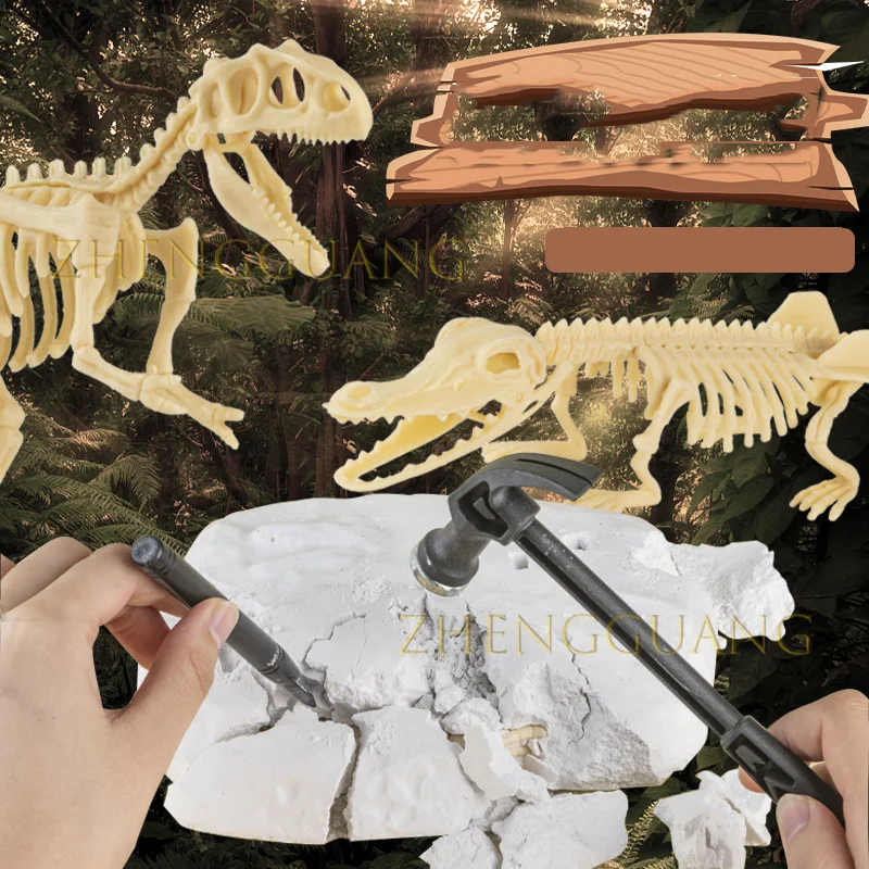 Zhengguang Dinosaur Dig Kit for Kids Dino Fossil Skeleton for Children Excavation Science Education DIY Toys