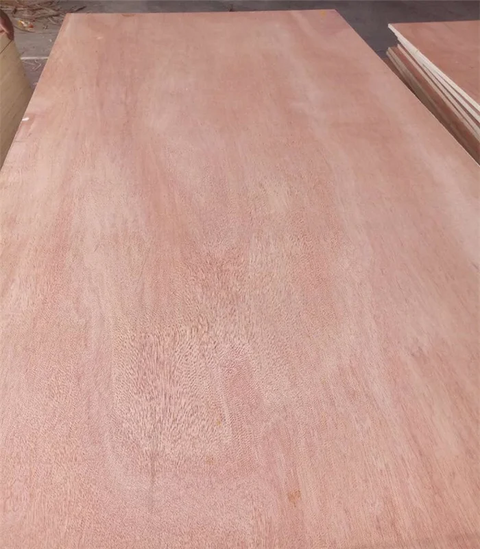 Packing plywood 5mm 8mm 10mm 12mm plywood price