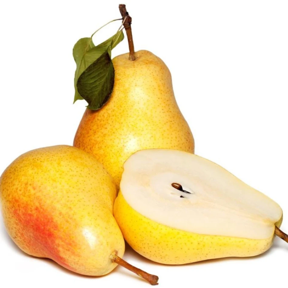 High quality with best price Chinese fresh pear fruit