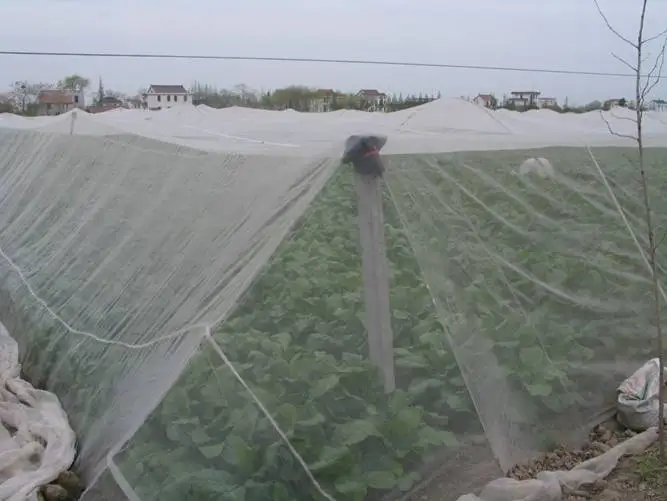 Transparent Nylon Bird Mist hdpe bird netting agritultural mesh for fruit trees protect