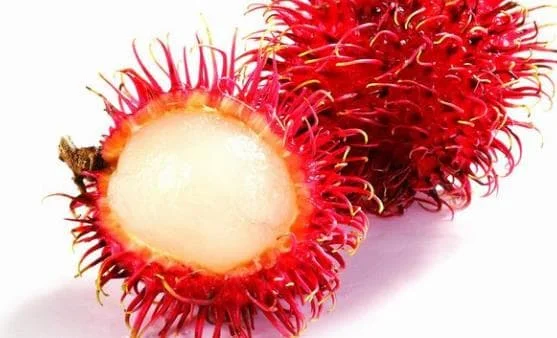Export quality Cheap Bulk Fresh Rambutan Natural Sweet Fresh Rambutan for Daily Use Origin Viet Nam