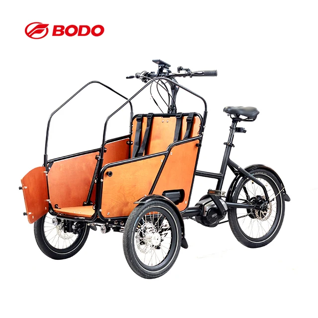250w Bafang mid motor electric cargo bike tricycle/3 wheel electric bike cargo for family