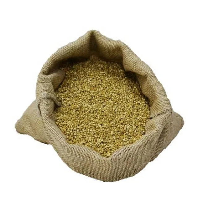 Wholesale Supplier of Quinoa fruits from India