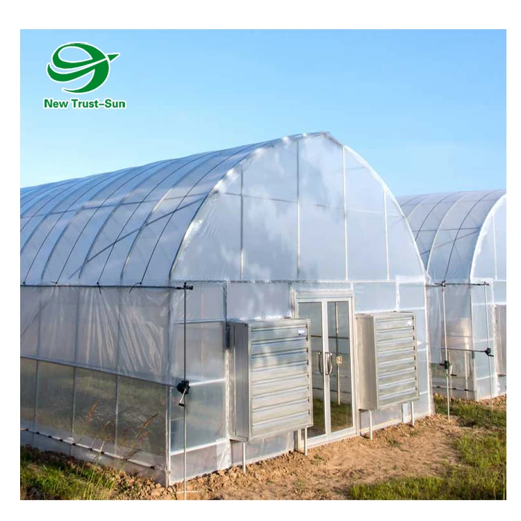 
Low Cost Agricultural Singlespan Plastic Film Tunnel Greenhouse 