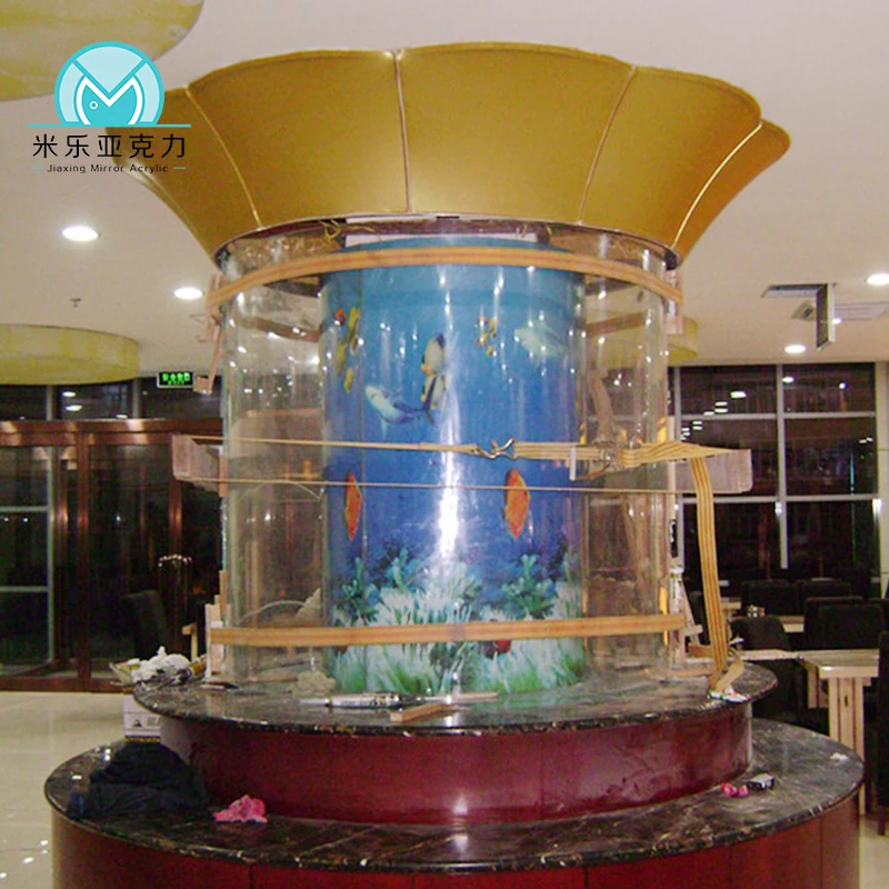 Wholesale cheap custom hot sale modern big aquarium toilet fighter fish aquarium tank