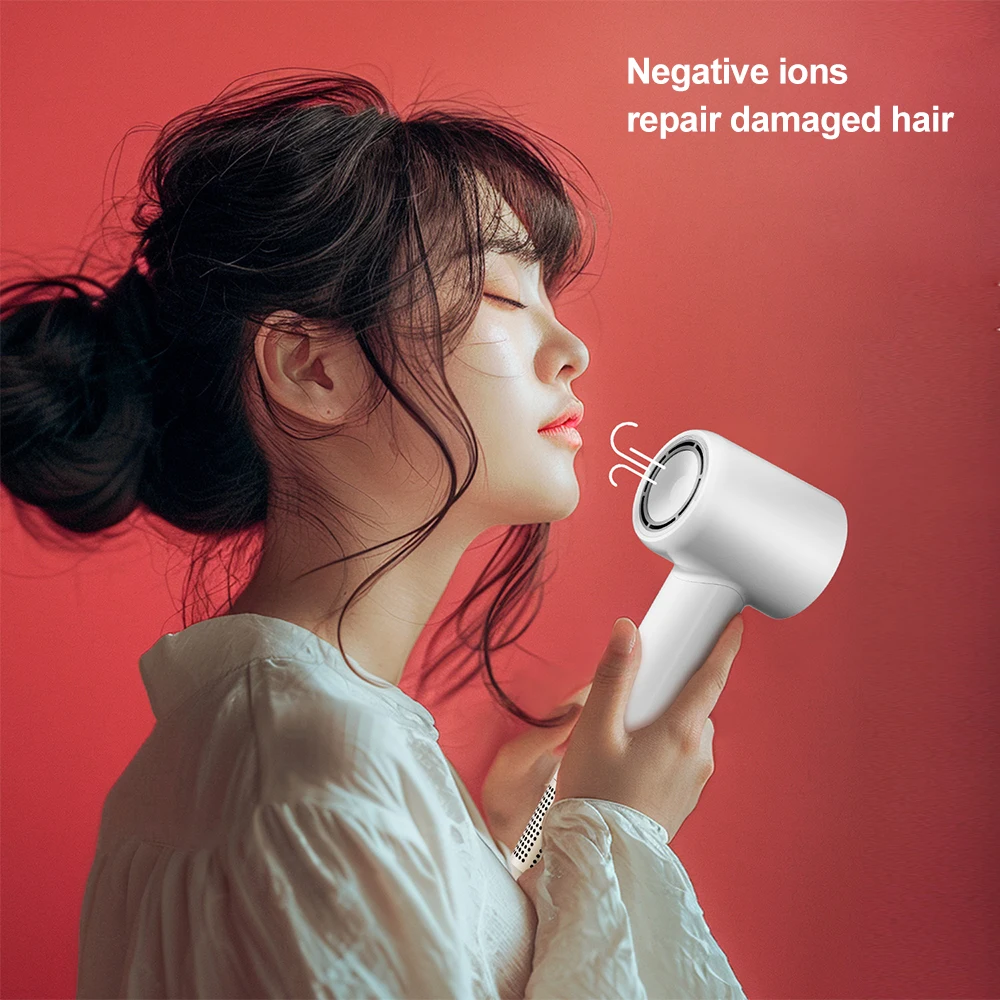 Hair Dryer 110V/230V Blow Dryer Household U.S. Japanese Taiwan European British Standard Versatile And Convenient For All Users