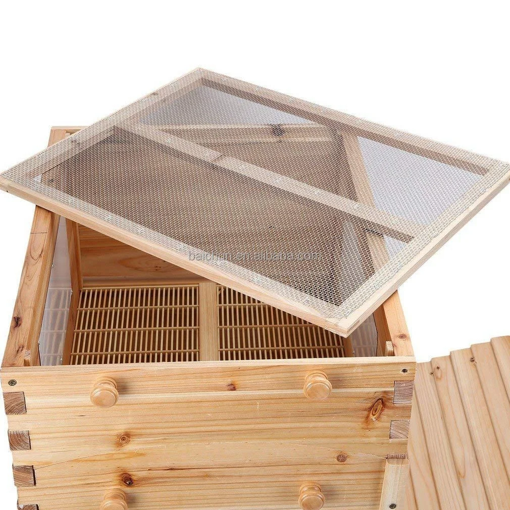 Honey Bee Hive & 7 Auto Frames honey outflow beehive honey comb full set