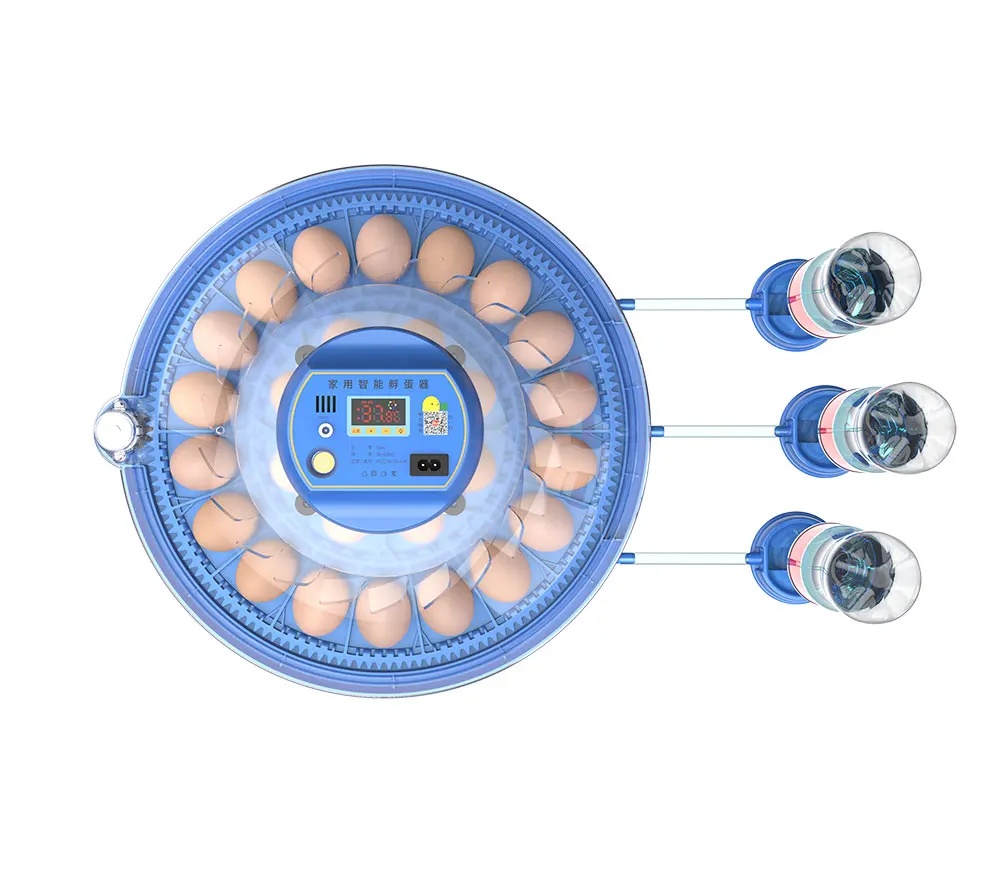 Fully Automatic 8 pcs 26 pcs 52 pcs chicken eggs incubator