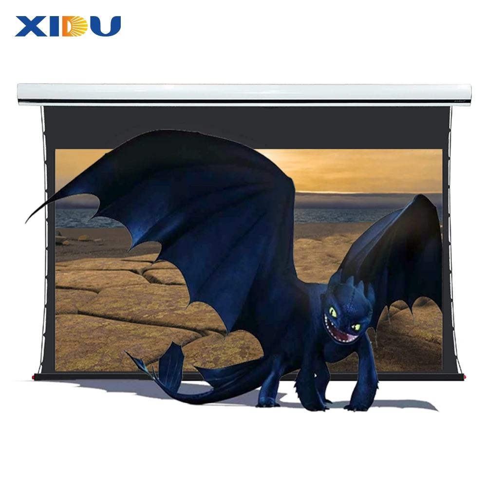 XIDU 200 inch Motorized Tab-tension Projector Projection Screen Super Smooth HD ALR Black 200 inch projector screen