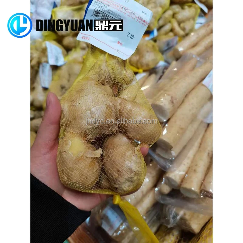 
New production line of plastic net bag extruder vegetable net bag garlic net bag machine 