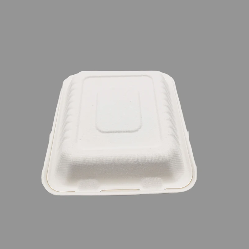 disposable 100% biodegradable eco clamshell sugarcane bagasse packaging takeout paper bento lunch box
