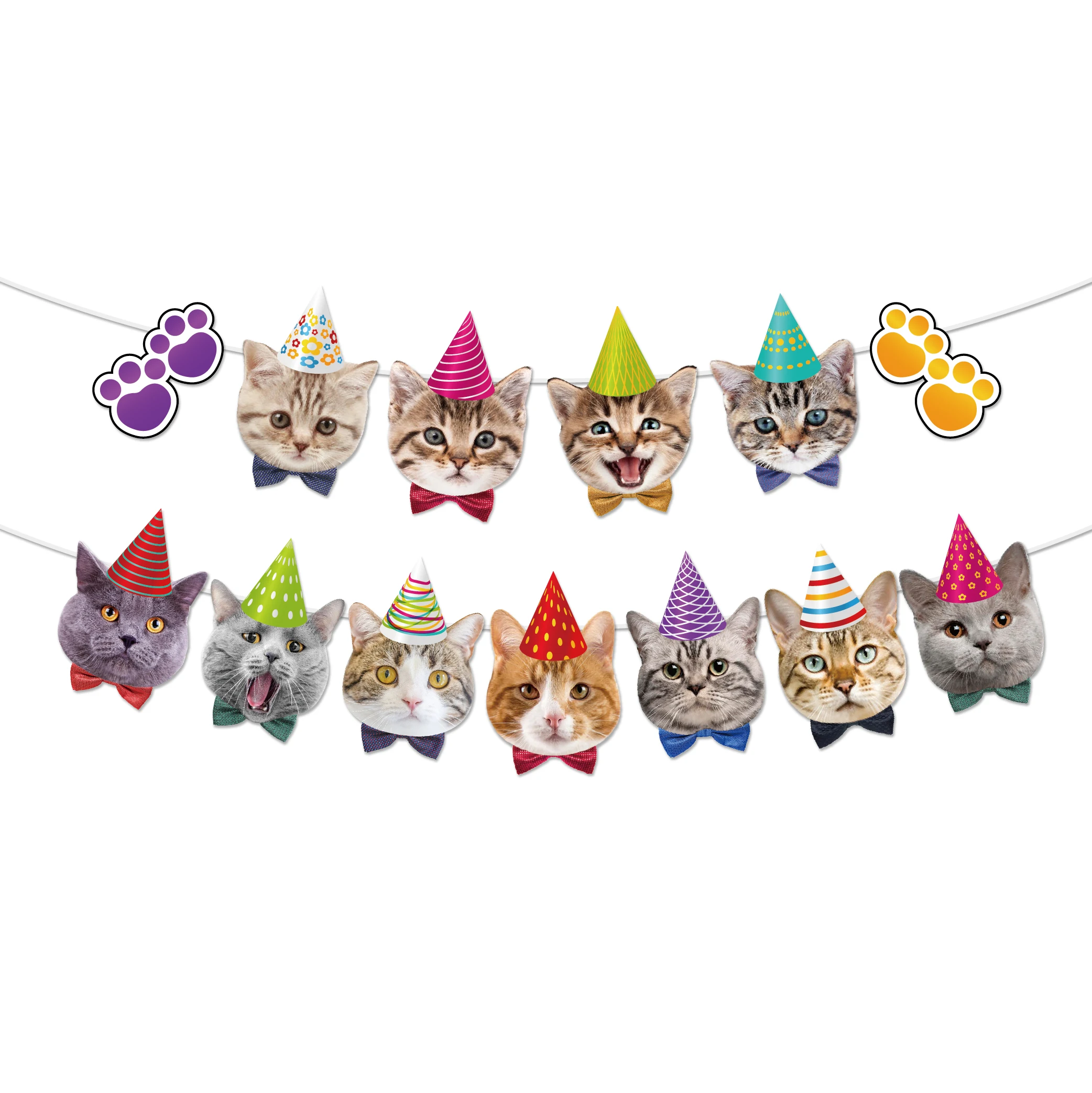 BA173 баннеры с изображением лица кошки домашнего питомца, украшение на день рождения, баннер с изображением лица для животного на день рождения