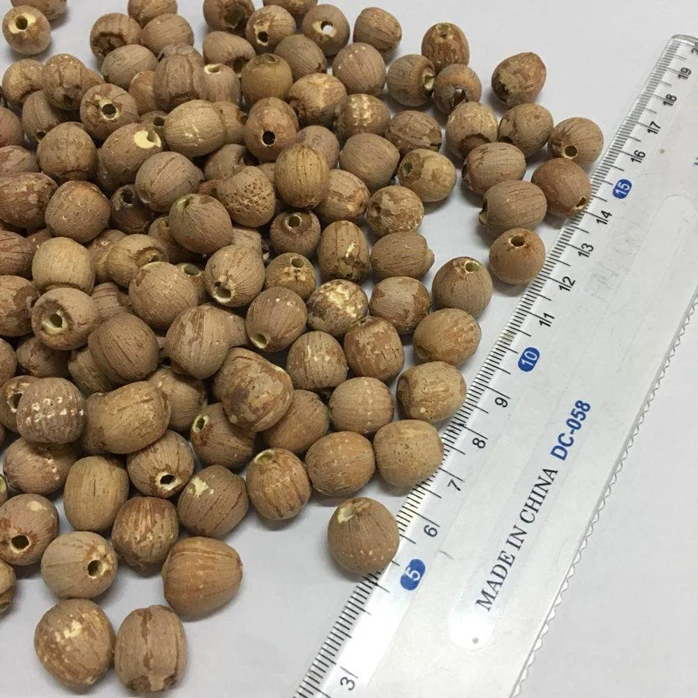 High quality Vietnam lotus seed black lotus seed for sale