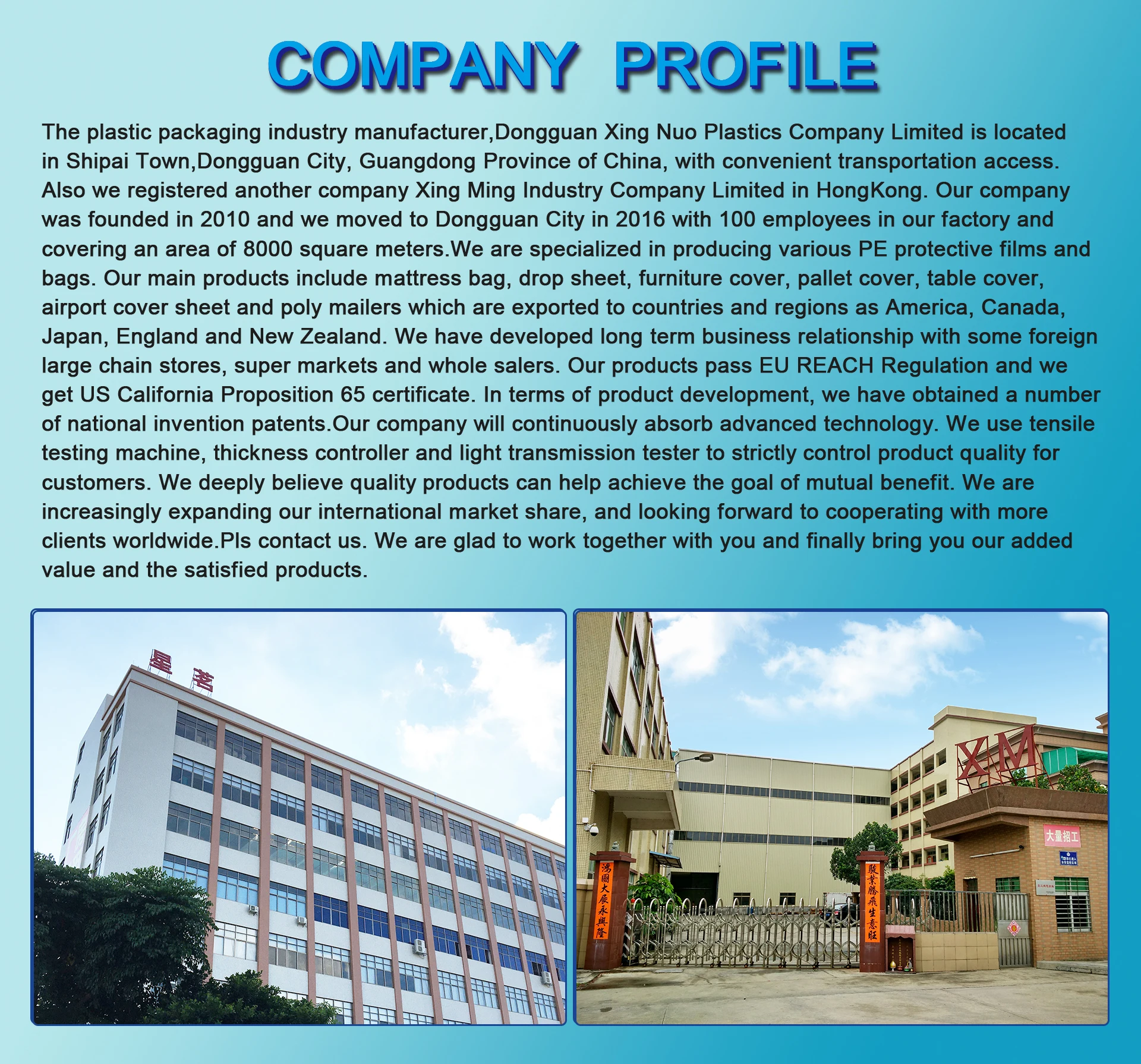 CompanyProfile-01
