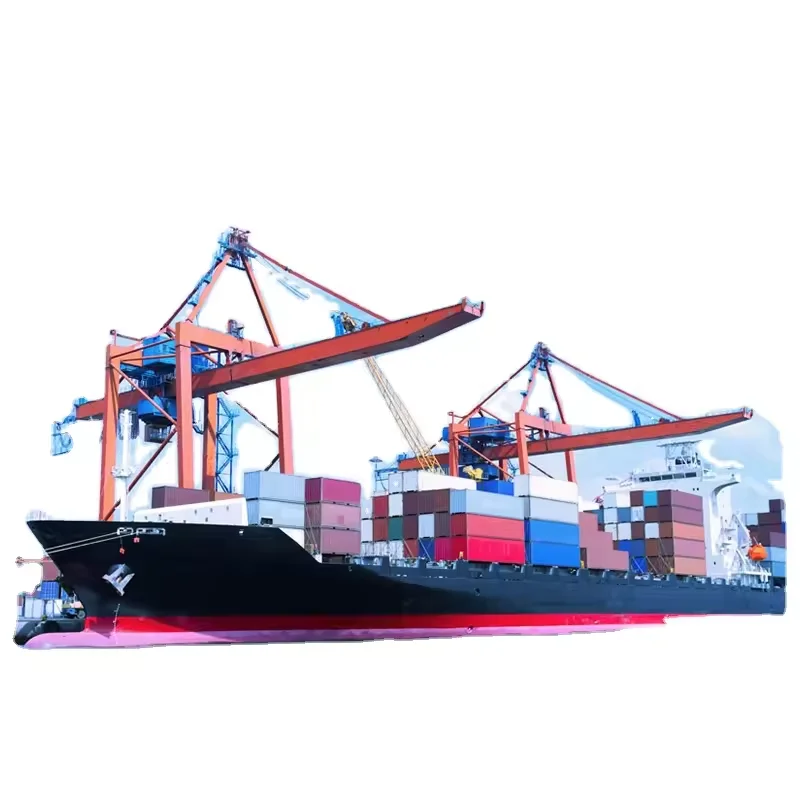 Shipping Agent Forwarder By Railway Trucking From China To Uk India Europe India Pakistan LCL Shipping Agent