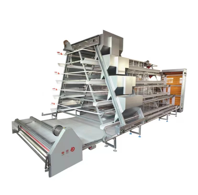 chicken cage Great farm Poultry Equipment A Type H type 3-5 Tier Chicken Layer Cage With Egg Collection