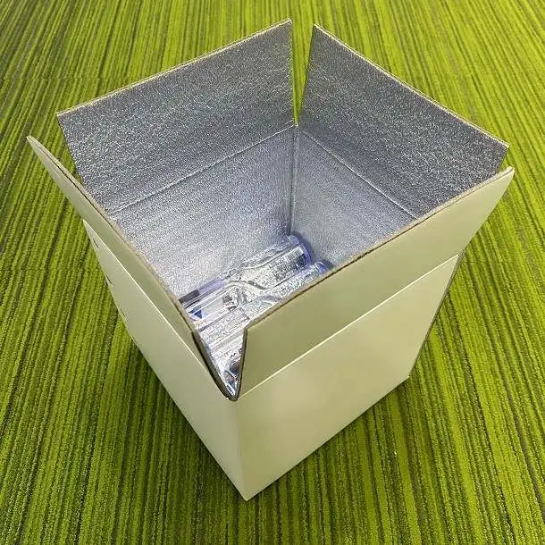 No Printing1kg Keep Freezing Goods Cold Packaging Brown Isolation Cardboard Boxes With Foam Bag For The Transportation