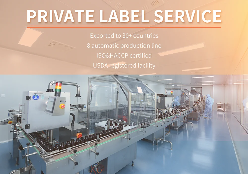 Organic Vegan Healthcare Supplement Reishi Mushroom Spore Powder Capsule