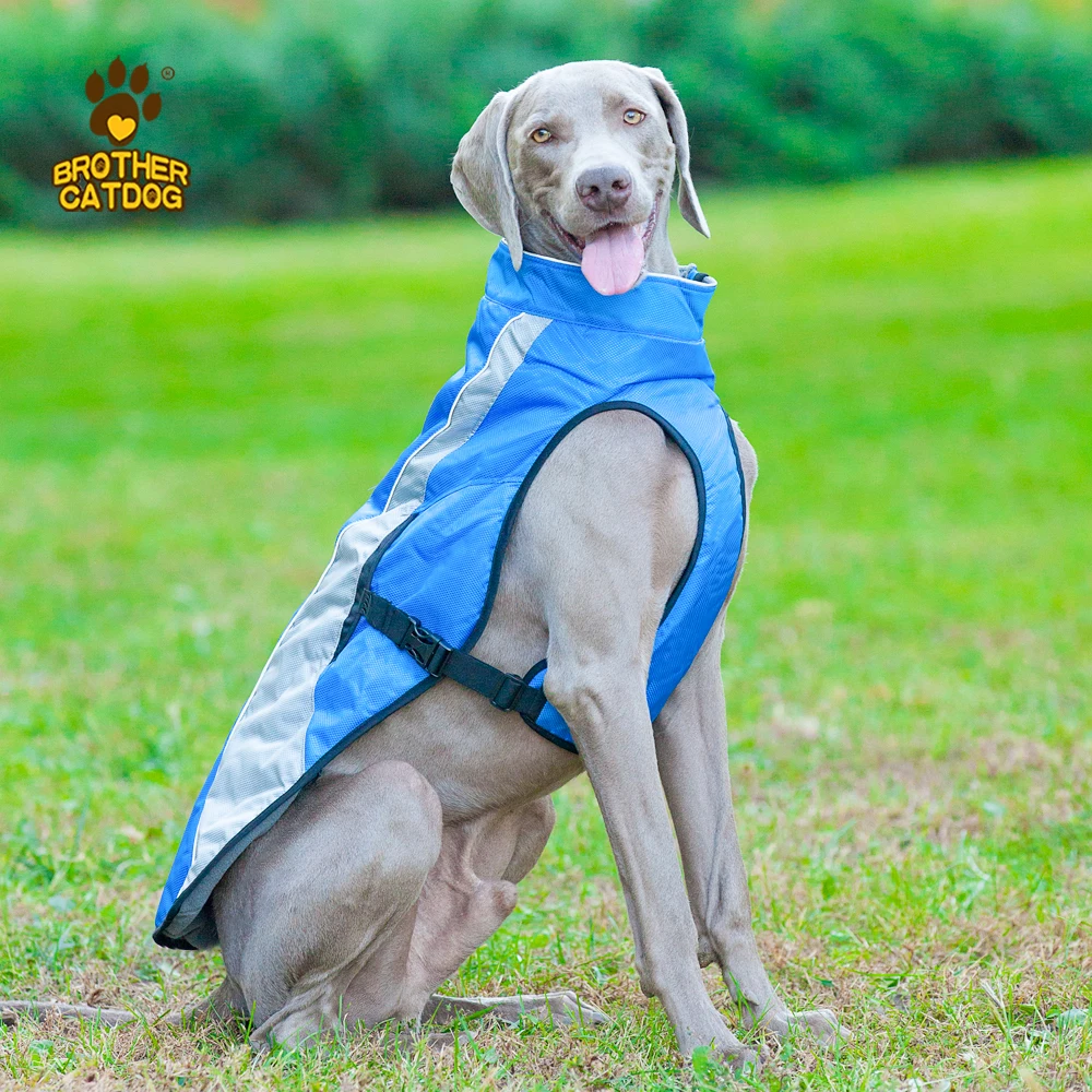 Blue pet outdoor training coat  Lightweight dog hunting clothes  Winter security fleece jacket keep warm reflective dog vest