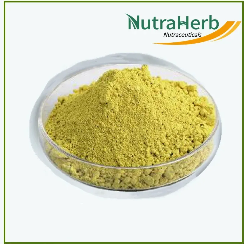 Scutellaria Baicalensis Root Extract Powder 98% Baicalin Powder