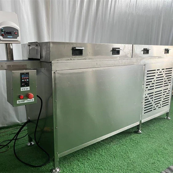 Fruit coat chocolate fruit enrober strawberry enrober coat chocolate machine