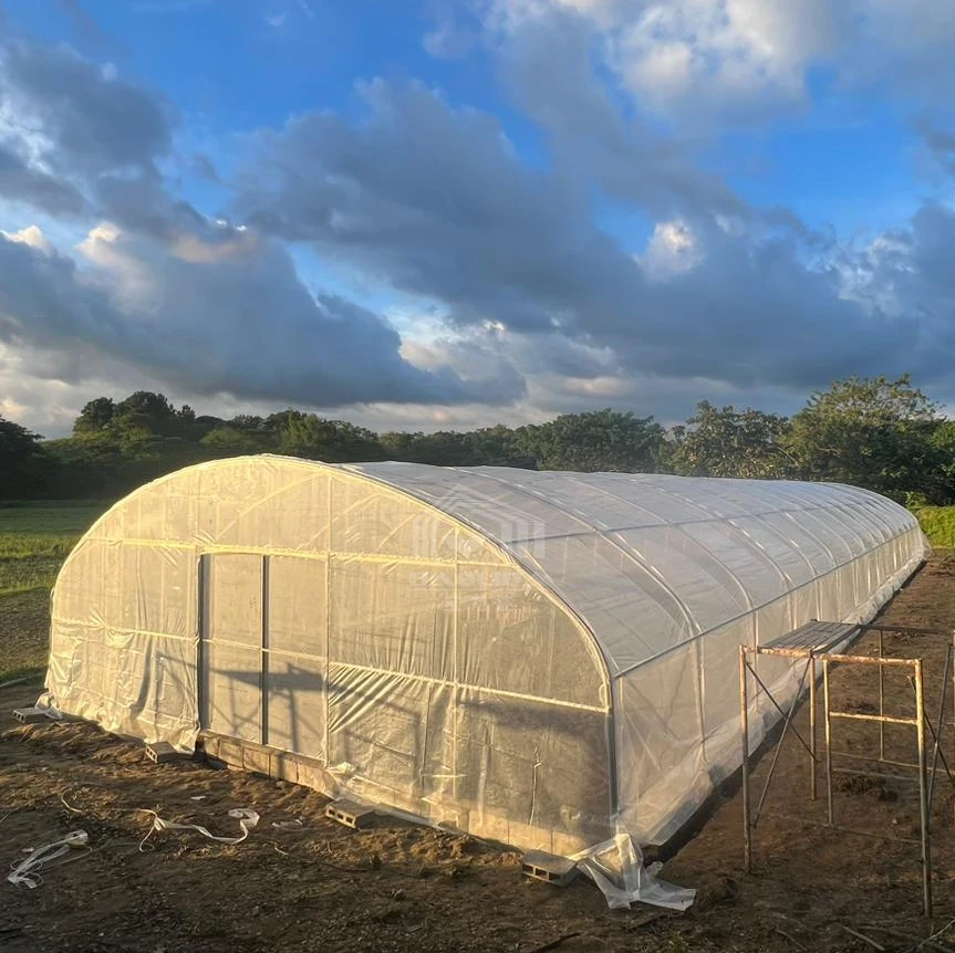 High tunnel single span single layer serre agricultural greenhouses plastic film serre agricole prix for tomatoes