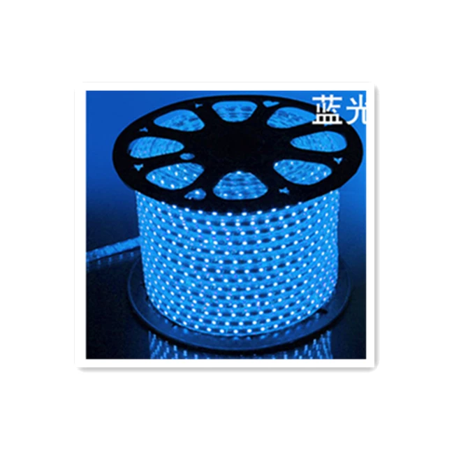 RGB LED Strip 220V Blue Color Waterproof 5050 SMD Lights Rope
