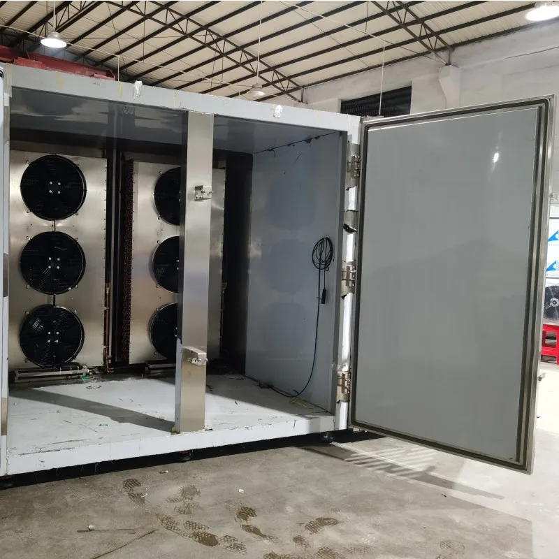 Factory Price Commercial Fast Freezing 2000 L Refrigeration Machine