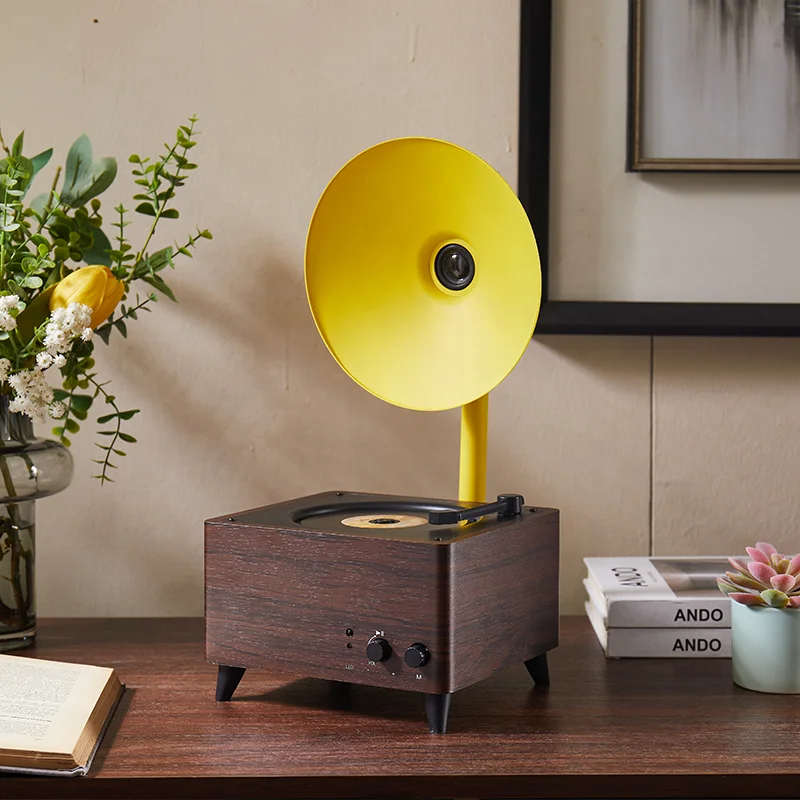 2022 Fast Dispatch New Multifunction Black DJ DVD Speaker BT Output USB Connection Portable CD Player Hifi