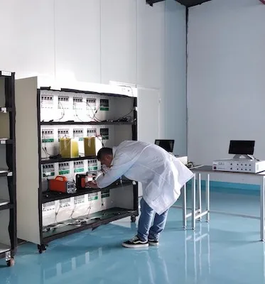 60V 20A Battery Storage System Rechargeable Power Energy EV Batteries 18650 Lithium Iron Battery Cell 2000 Times BM321 with GPS