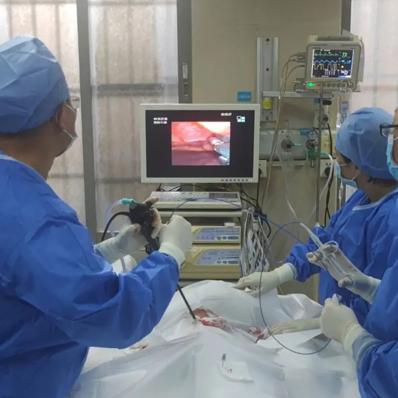 Pleuroscope Price Pleuroscopy for Diagnosis and Therapy Pleural Effusions Medical Endoscope