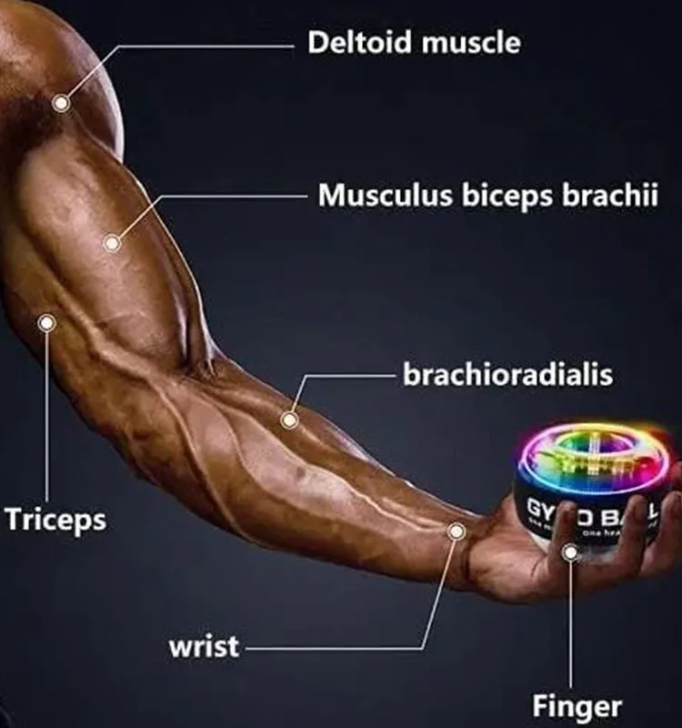 Hand Strength Exercise Ball Metal Gyro Ball Wrist Exerciser with LED Light