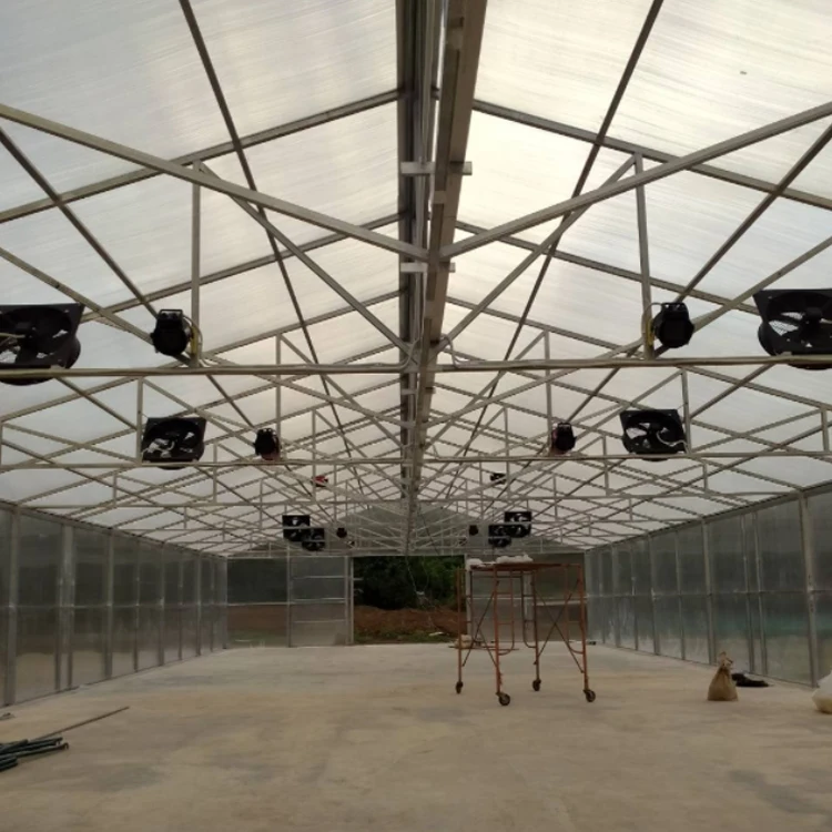 MYXL Easy Install Tunnel Farming Single-span Greenhouse 10mm Polycarbonate Greenhouses