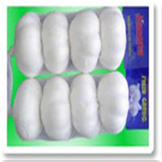 
export chinese fresh garlic 2021 /special price 